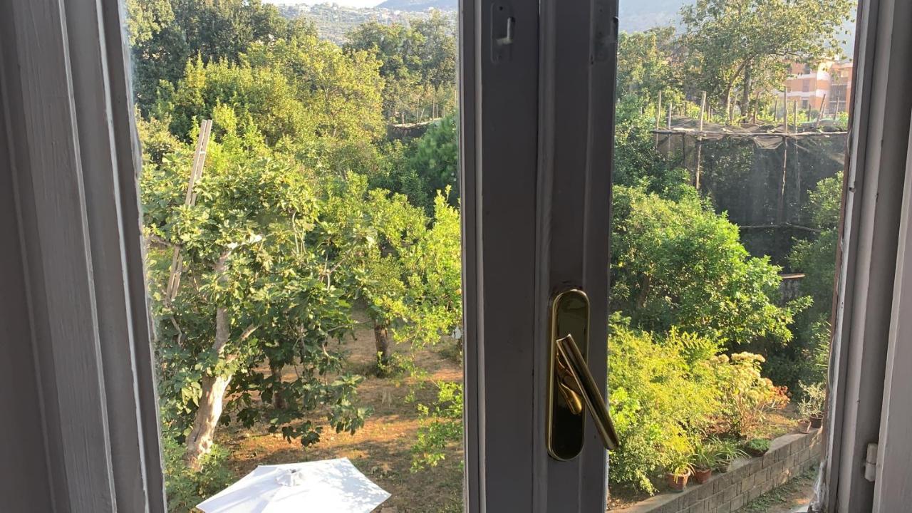 B&B Antica Dimora Piano di Sorrento Eksteriør billede